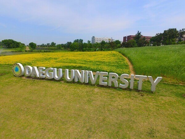 Vườn hoa Daegu University là địa điểm Selfie yêu thích của sinh viên